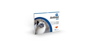 Antinol® Kot 30 kapsułek 