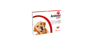 Antinol® Pies 30 kapsułek 