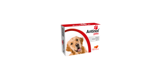 Antinol® Pies 120 kapsułek 